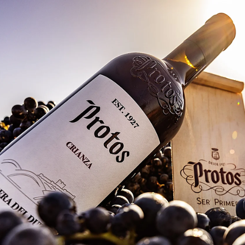 Protos crianza