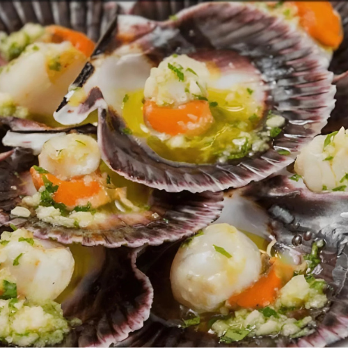 Zamburiñas (Vieiras del atlántico) und.